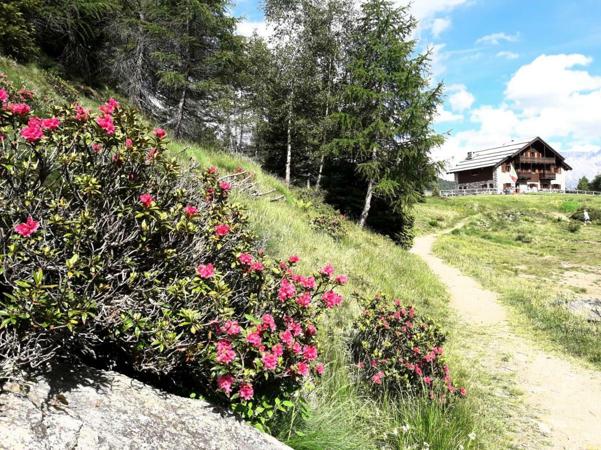 Rifugio Al Lago Del Mortirolo In Inverno Raggiungibile Solo A Piedi Monno Buitenkant foto